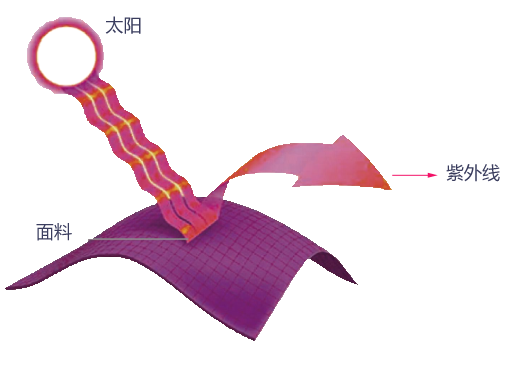 3133cc拉斯维加斯·(中国游)官方网站